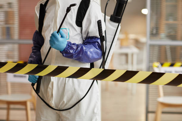 Professional Hoarding Cleanup technician working in Orestes, IN